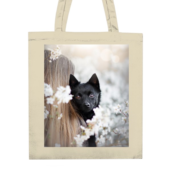 Unisex Cotton Bag s potiskem The schipperke in the blooming orchards